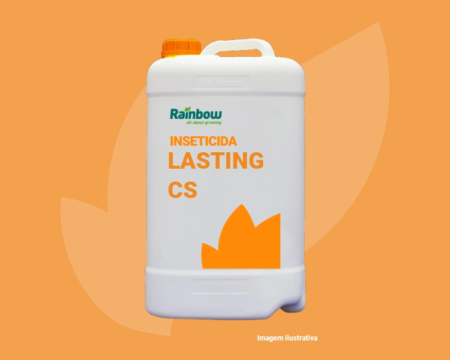 Lasting CS